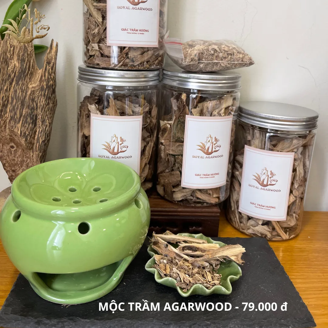 Premium Glazed Agarwood Burner – Ceramic Incense Stove for Chips, Cones &amp; Herbal Blends (13 cm Diameter)